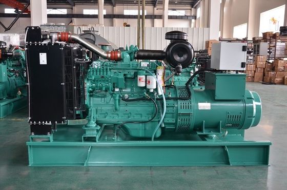 100KW Cummins Diesel Generator Set with Silent Canopy and 100% Copper Alternator