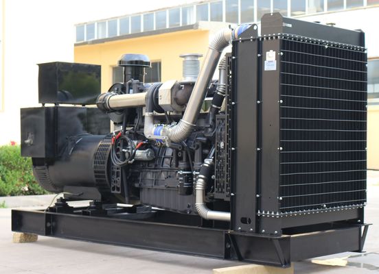 300kw Shanghai Diesel Generator with IP23 Protection Class and Budget-Friendly