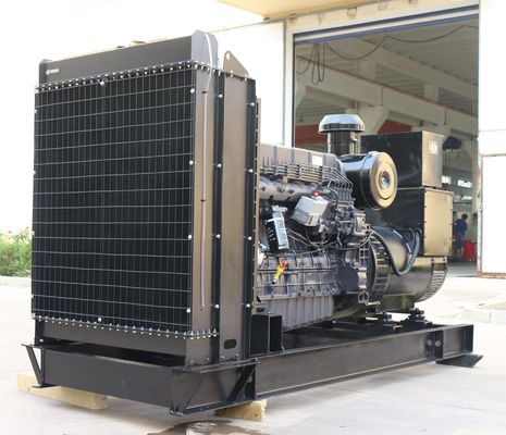 300kw Shanghai Diesel Generator with IP23 Protection Class and Budget-Friendly