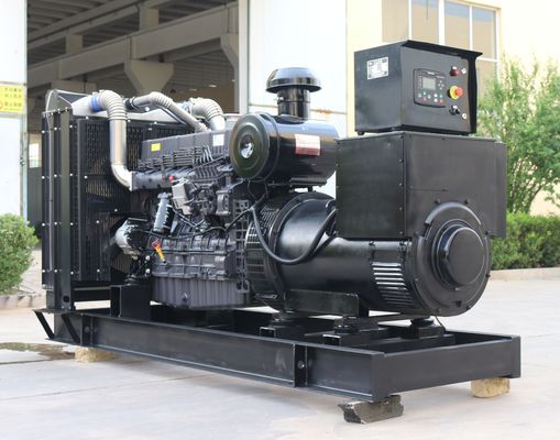 300kw Shanghai Diesel Generator with IP23 Protection Class and Budget-Friendly