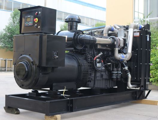 300kw Shanghai Diesel Generator with IP23 Protection Class and Budget-Friendly