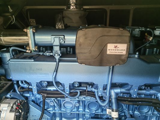 Methane Gas Electric Generator 250kw 3 Phase with Weichai Engine and CE/ISO Certificate
