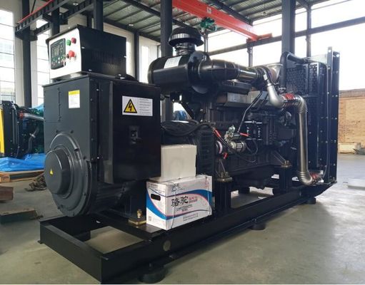 800kw Diesel Generator with Cummins Perkings Wechai Yuchai Deutz Sdec Alternator