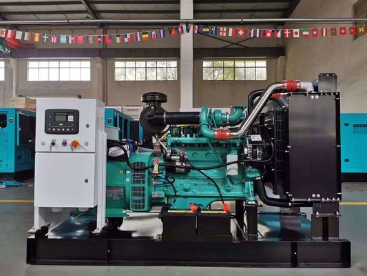 250kw Silent Diesel Generator with Cummins and 100% Pure Copper Brushless Alternator