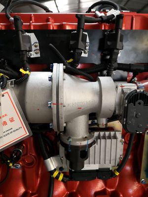 Yuchai 200KW 250KVA Natural Gas Biogas Generator Set Stable and for 24-Hour Operation