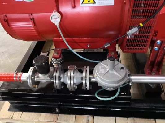 300KW Natural Gas Biogas Generator Set with 50HZ/60HZ Frequency and 180A Rated Current