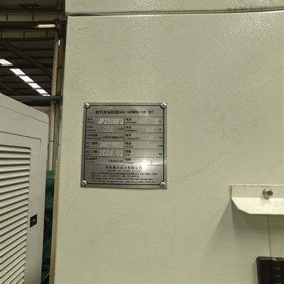 230/400V 300KVA 250kw Super Silent Super sound proof Biogas LPG Biomass Natural Gas Generator Set