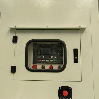 230/400V 300KVA 250kw Super Silent Super sound proof Biogas LPG Biomass Natural Gas Generator Set
