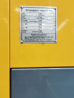 Auto Start 344kVA Biogas Generator/ LPG Generator with WEICHAI WP13D317E300NG Engine