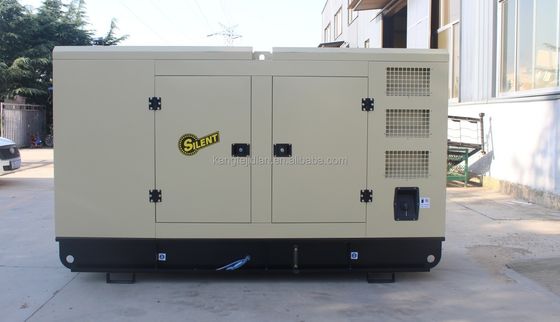 24V DC Electric Start System 250KW Natural Gas Generator Silent Type for 24/7 Running