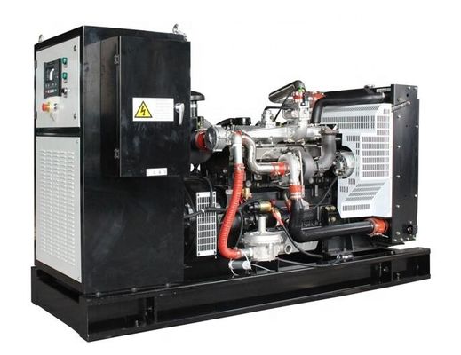 IP23 Protection Class Gas Generator Set 10kw 1000kw for Electric Power Generation