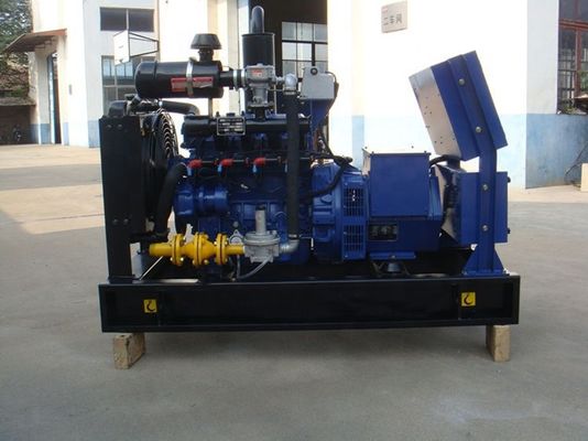 CE/ISO Certified 10kw 15kw 22kw Small Biogas Gas Electricity Generator Cogeneration Plant