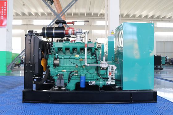 100% Pure Copper Brushless Alternator Gas Generator Plant for CHP/CNG/Biogas 10-500kW