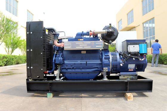 Good 100kw Natural Gas/Biogas Power Generator with 1500RPM Speed and CE/ISO Approval