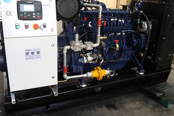 Good 100kw Natural Gas/Biogas Power Generator with 1500RPM Speed and CE/ISO Approval