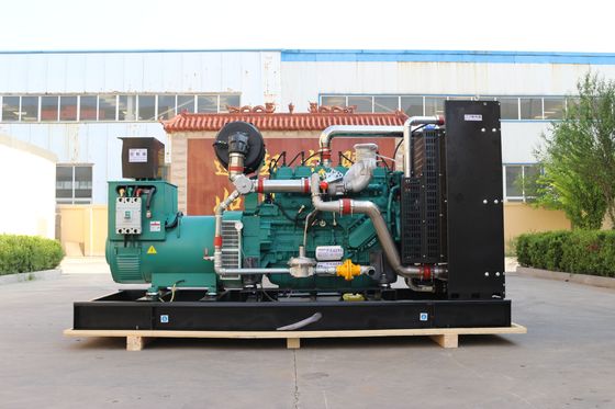 100% Pure Copper Brushless Alternator 200KW Natural Gas Generator for Power Generation
