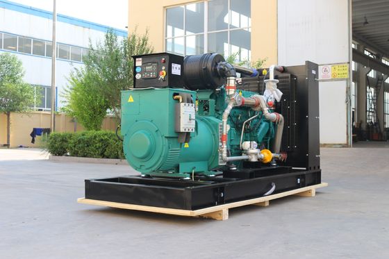 100% Pure Copper Brushless Alternator 200KW Natural Gas Generator for Power Generation