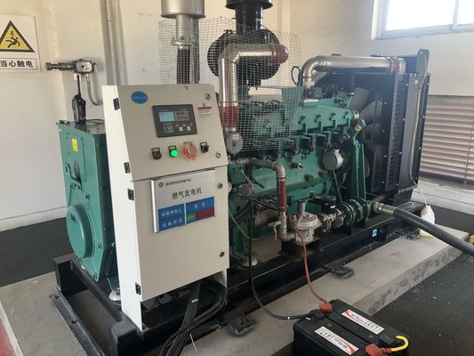 Clean Energy CHP Mini Biogas Power Plant Generator Set Sale with 180A Rated Current