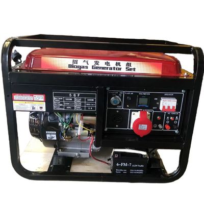 UK Engine 10kW AC Single Phase Gas Generator with Natural Gas Or LPG Biogas For Home