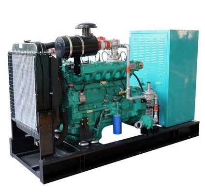 Farm 20kw Biogas Generator Set with Electrical Start and CE/ISO9001 Certification
