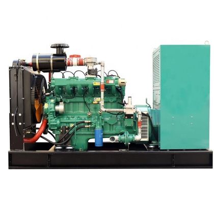 Affordable 20kw Natural Gas Generator Set with 50/60hz Frequency and Electrical Start