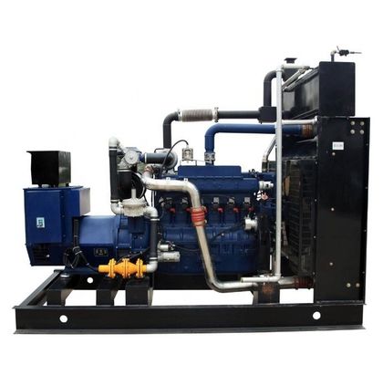 100KW Natural Gas Generator with Leroy Somer Stamford Alternator CE/ISO9001 Certified