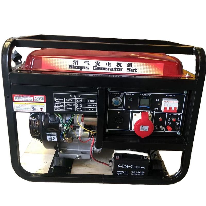 UK Engine 10kW AC Single Phase Gas Generator with Natural Gas Or LPG Biogas For Home